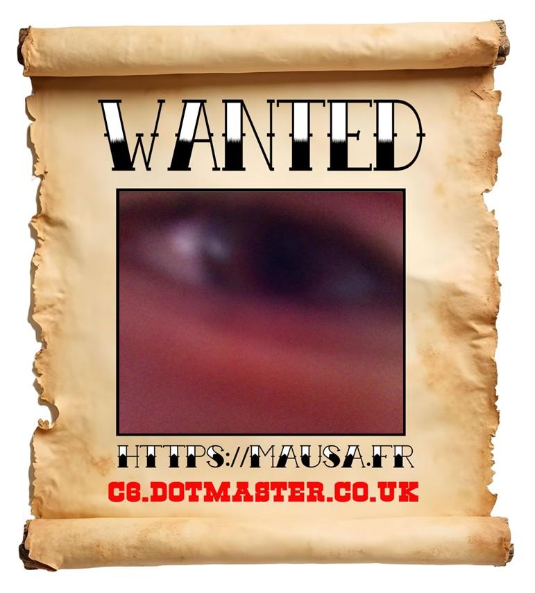 APB! Crime Reference: 6831D57CE4C46. A Metha addict is wanted in relation to a crime
