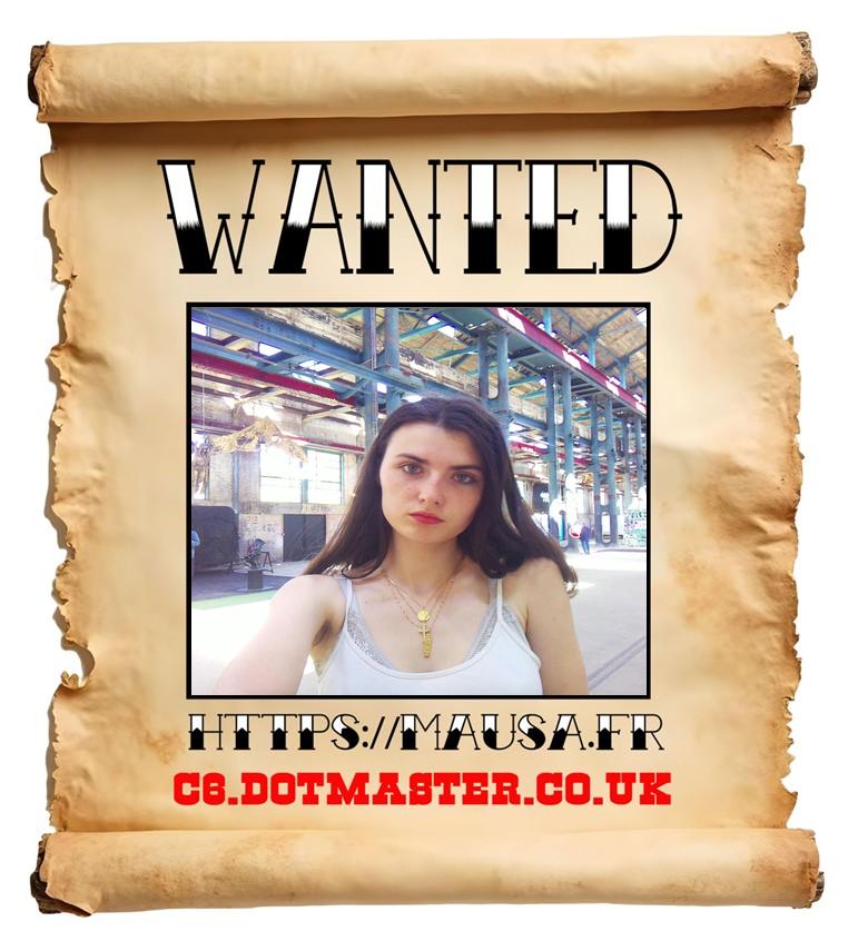 APB! Crime Reference: 6831D1CD775E1. A Metha addict is wanted in relation to a crime