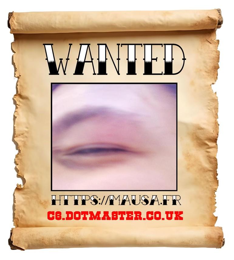 APB! Crime Reference: 6831D5460768D. A Metha addict is wanted in relation to a crime