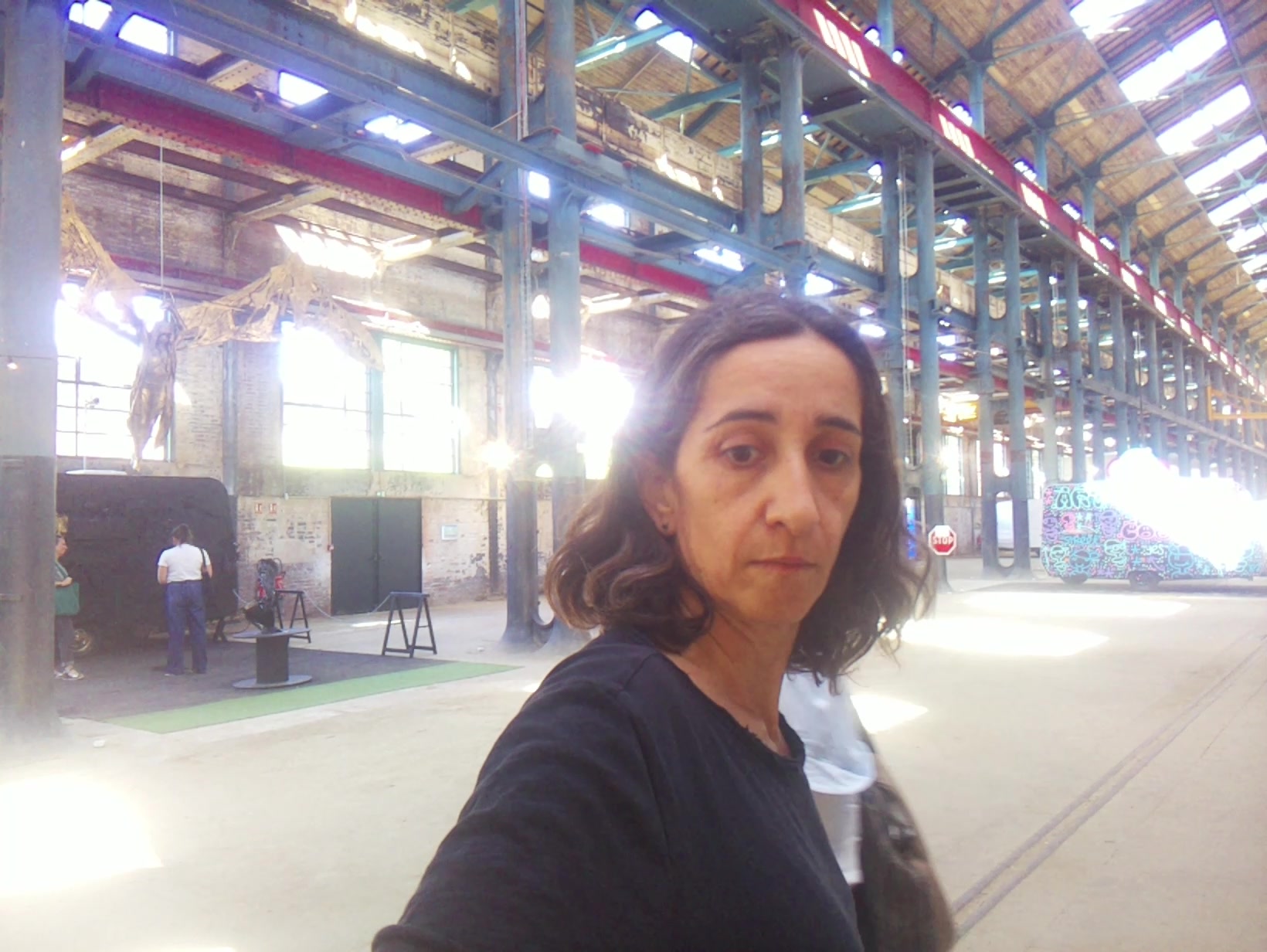 APB! Crime Reference: 68387205D920D. A Metha addict is wanted for lurking