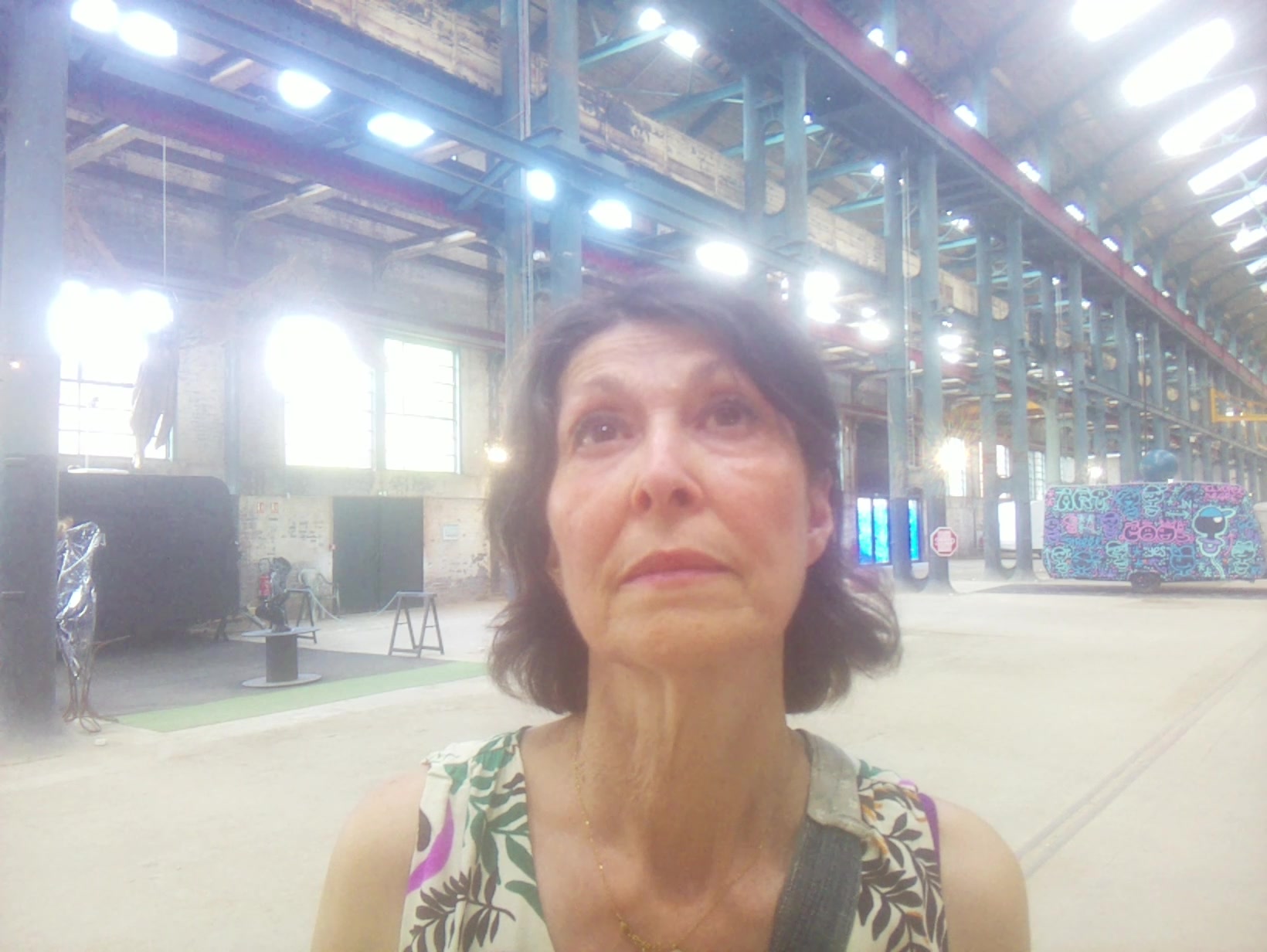 APB! Crime Reference: 684EF01DDFC9B. A Metha addict is wanted for lurking