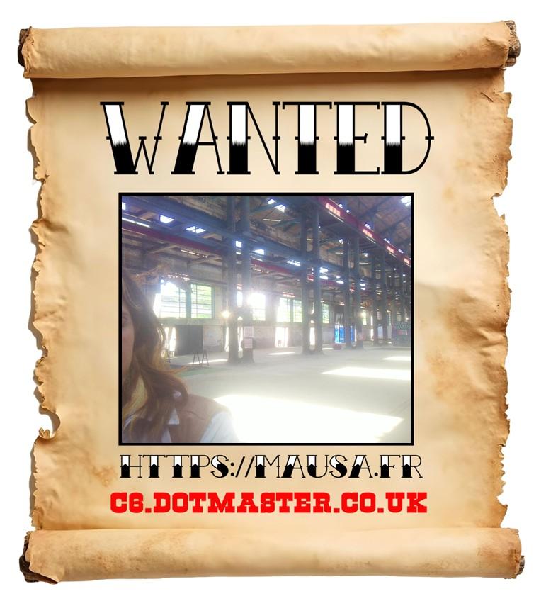 APB! Crime Reference: 685151EFB8601. A Metha addict is wanted in relation to a crime