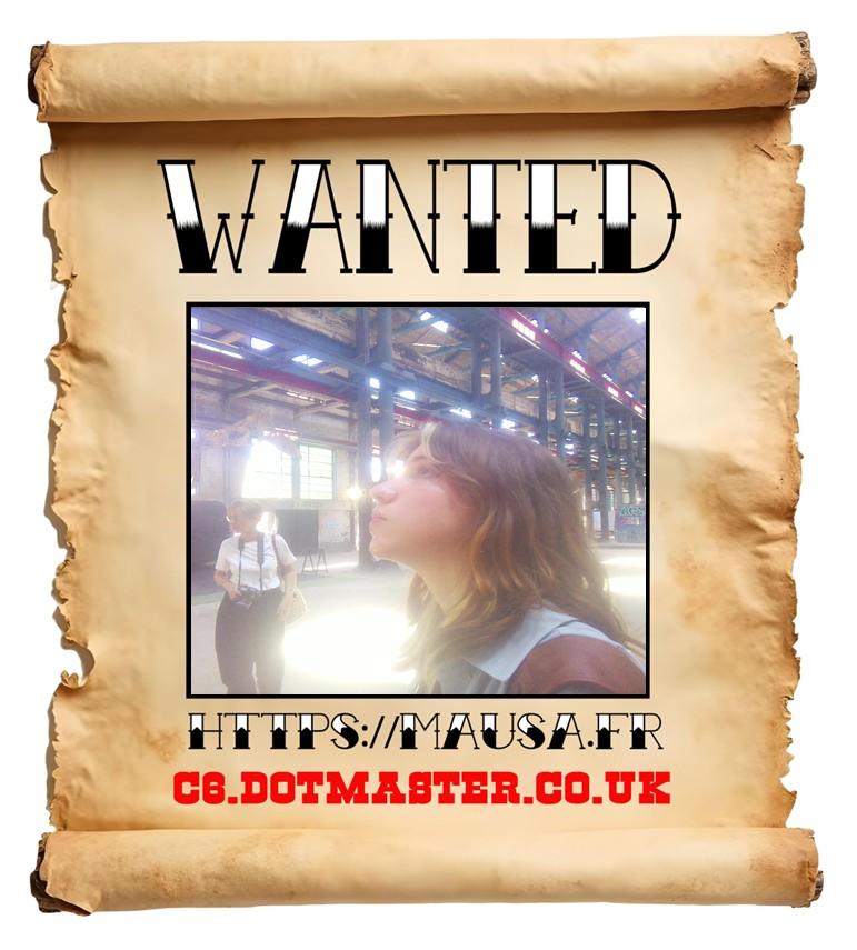 APB! Crime Reference: 685152D59D175. A Metha addict is wanted in relation to a crime