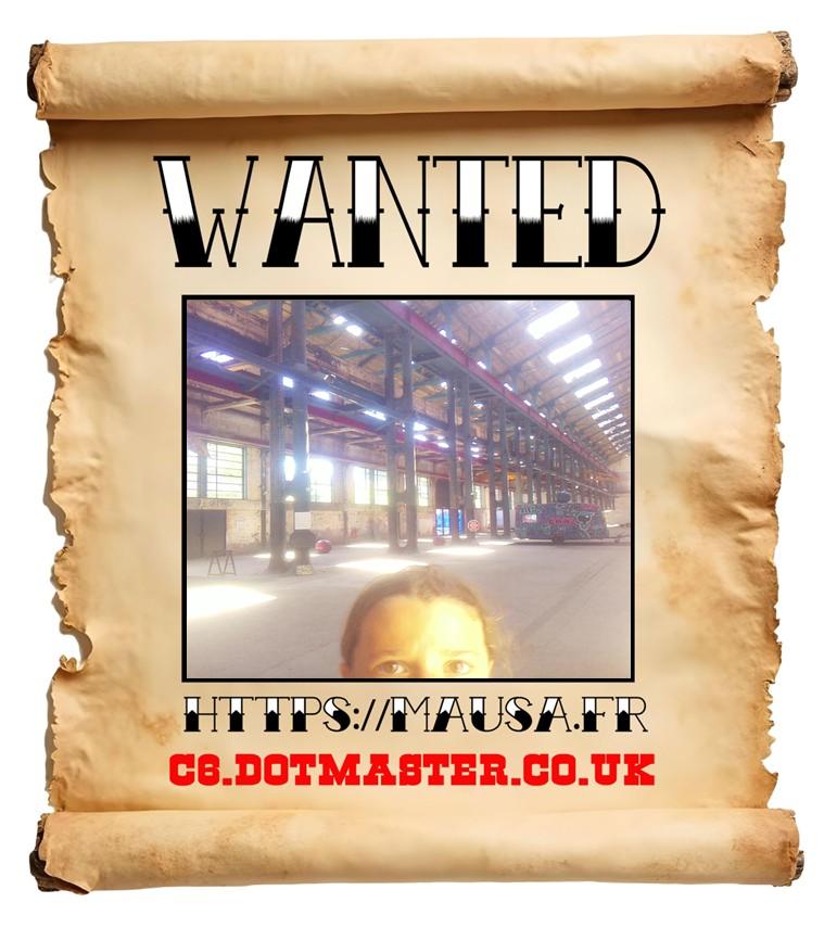 APB! Crime Reference: 685FB1BFE8773. A Metha addict is wanted in relation to a crime