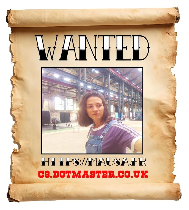 APB! Crime Reference: 68441912BCF69. A Metha addict is wanted in relation to a crime