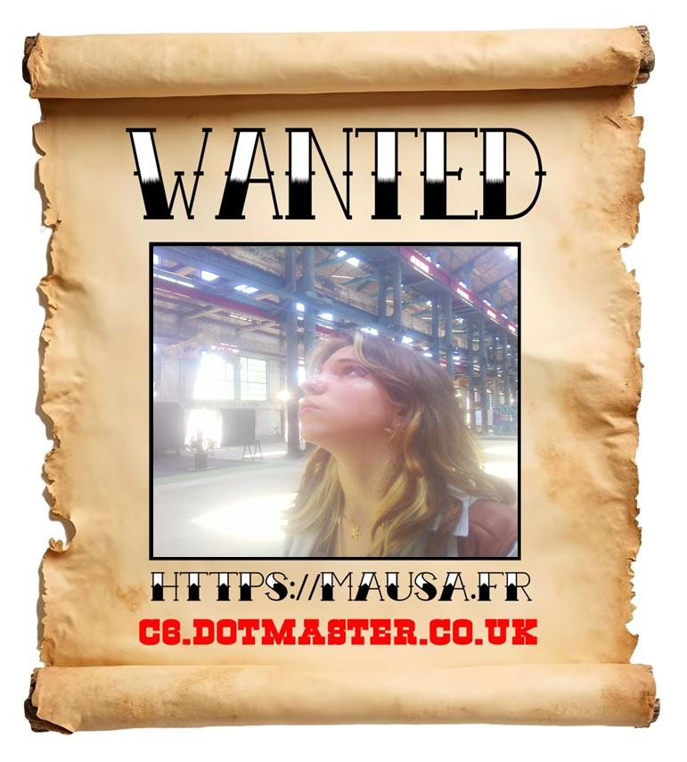 APB! Crime Reference: 685152C1C43A7. A Metha addict is wanted in relation to a crime