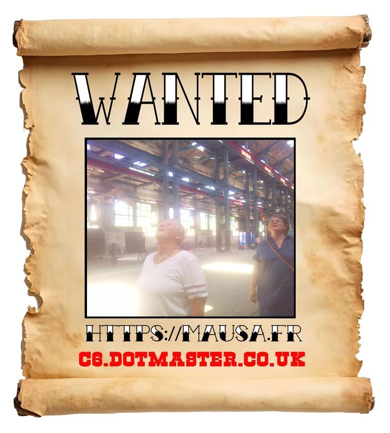 APB! Crime Reference: 6856A86DB40C0. A Metha addict is wanted in relation to a crime