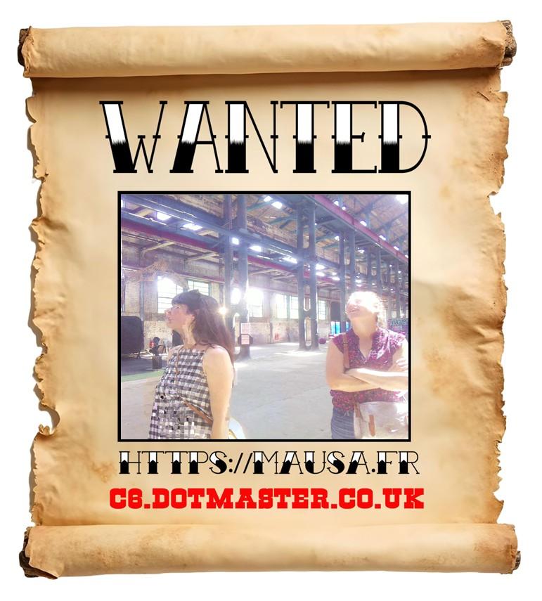 APB! Crime Reference: 684D420BB75B8. A Metha addict is wanted in relation to a crime