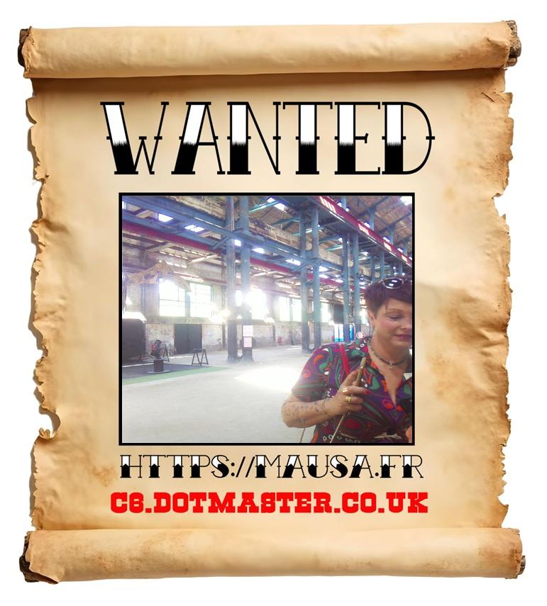 APB! Crime Reference: 684D89F0ED121. A Metha addict is wanted in relation to a crime