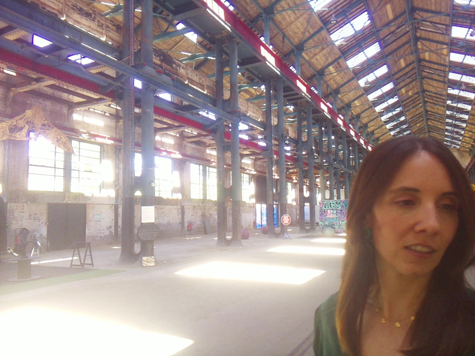 APB! Crime Reference: 686FB71AD6484. A Metha addict is wanted for lurking