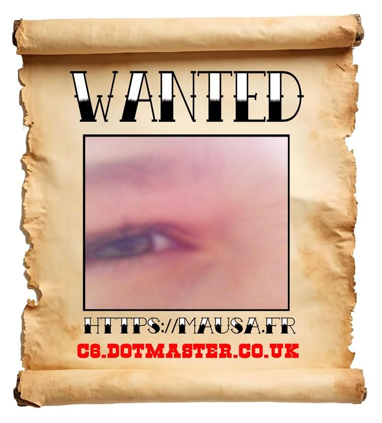 APB! Crime Reference: 68ADBE0998044. A Metha addict is wanted in relation to a crime