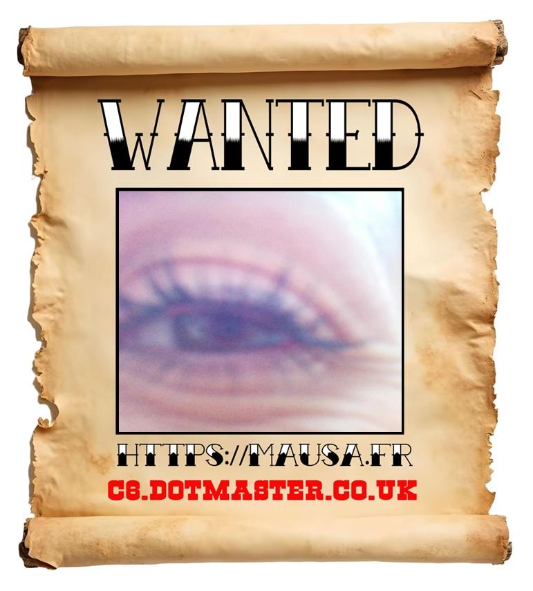 APB! Crime Reference: 68B059735F840. A Metha addict is wanted in relation to a crime