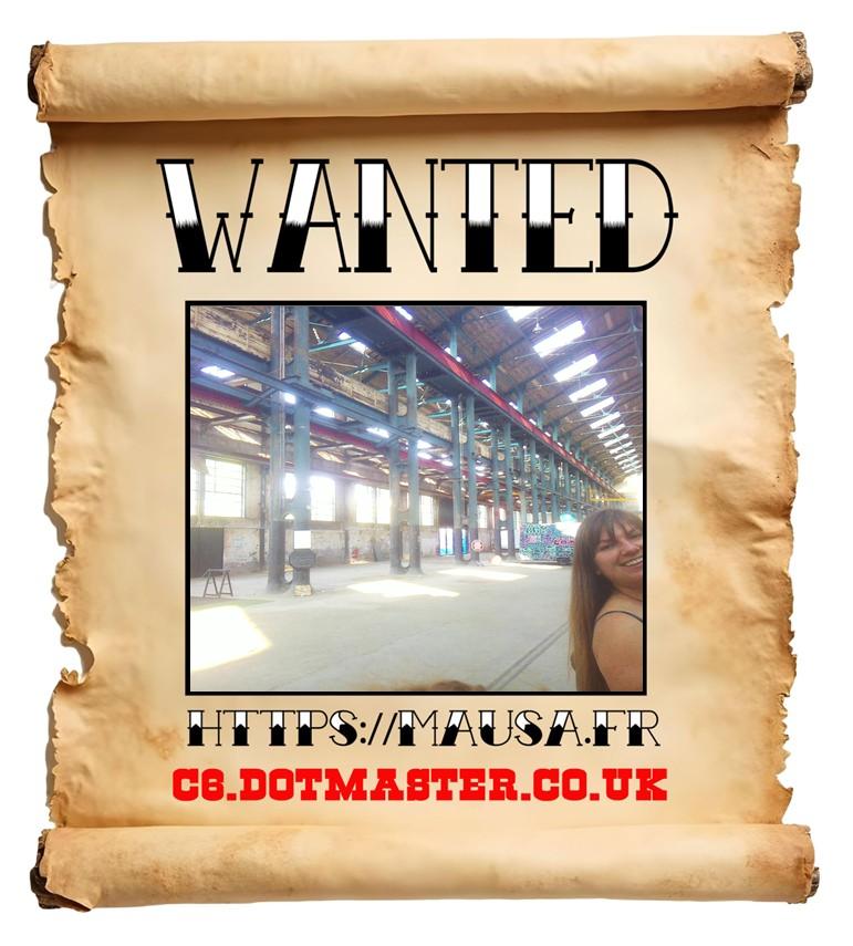 APB! Crime Reference: 689384476A5A3. A Metha addict is wanted in relation to a crime