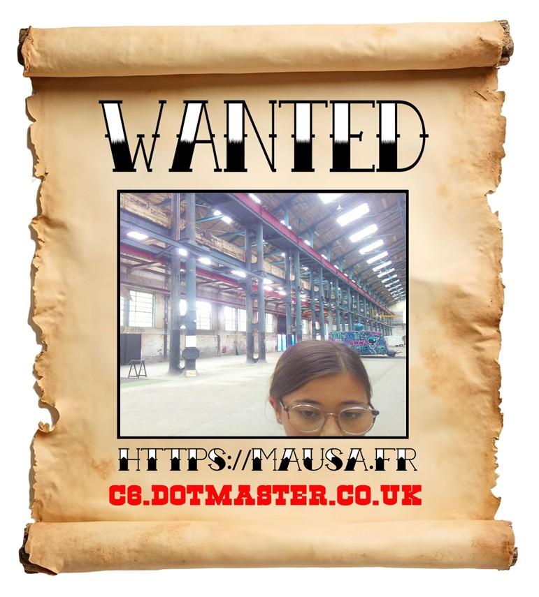 APB! Crime Reference: 68A47ABD76C14. A Metha addict is wanted in relation to a crime