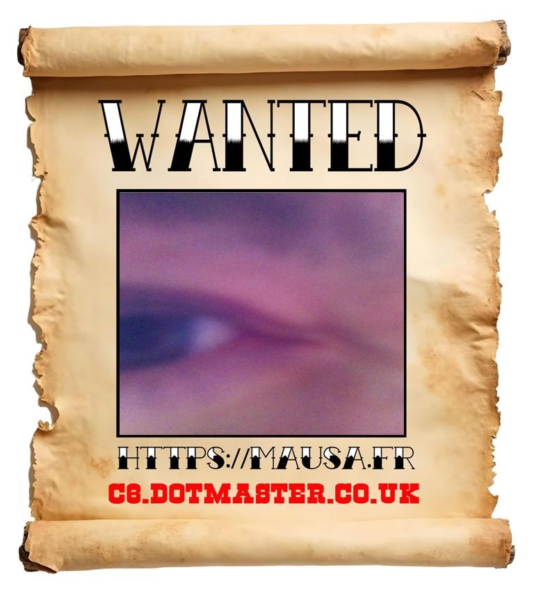 APB! Crime Reference: 68B1BC64E6E7F. A Metha addict is wanted in relation to a crime