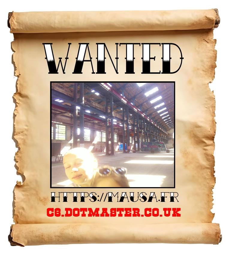 APB! Crime Reference: 689DACEB65409. A Metha addict is wanted in relation to a crime