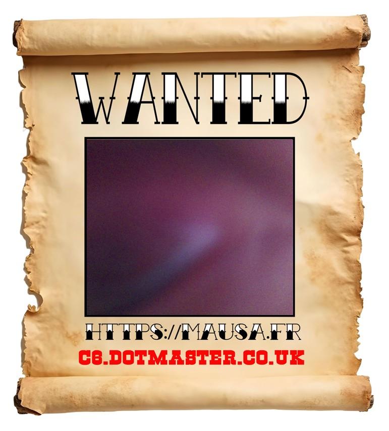 APB! Crime Reference: 68A87BE0E8069. A Metha addict is wanted in relation to a crime