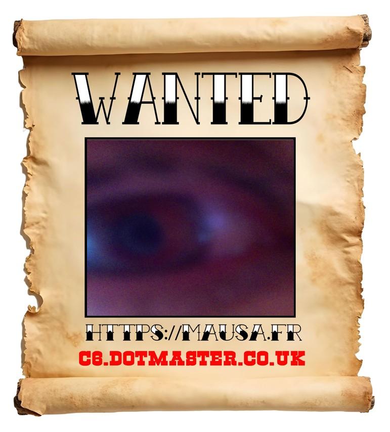 APB! Crime Reference: 68A9A687C8CCF. A Metha addict is wanted in relation to a crime