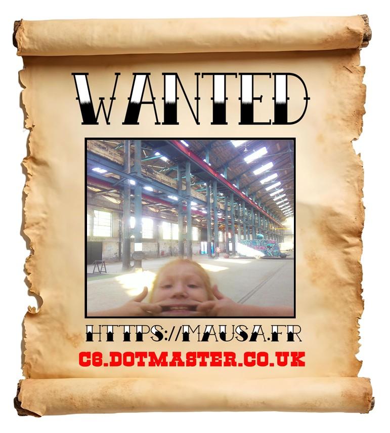 APB! Crime Reference: 689385FC48422. A Metha addict is wanted in relation to a crime