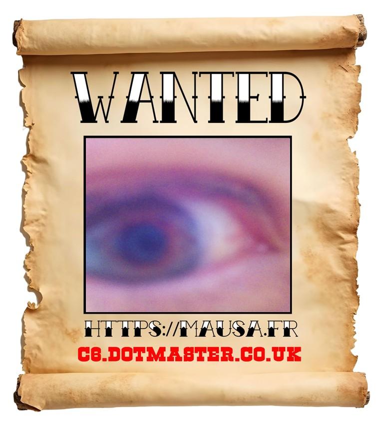 APB! Crime Reference: 68934570A821E. A Metha addict is wanted in relation to a crime