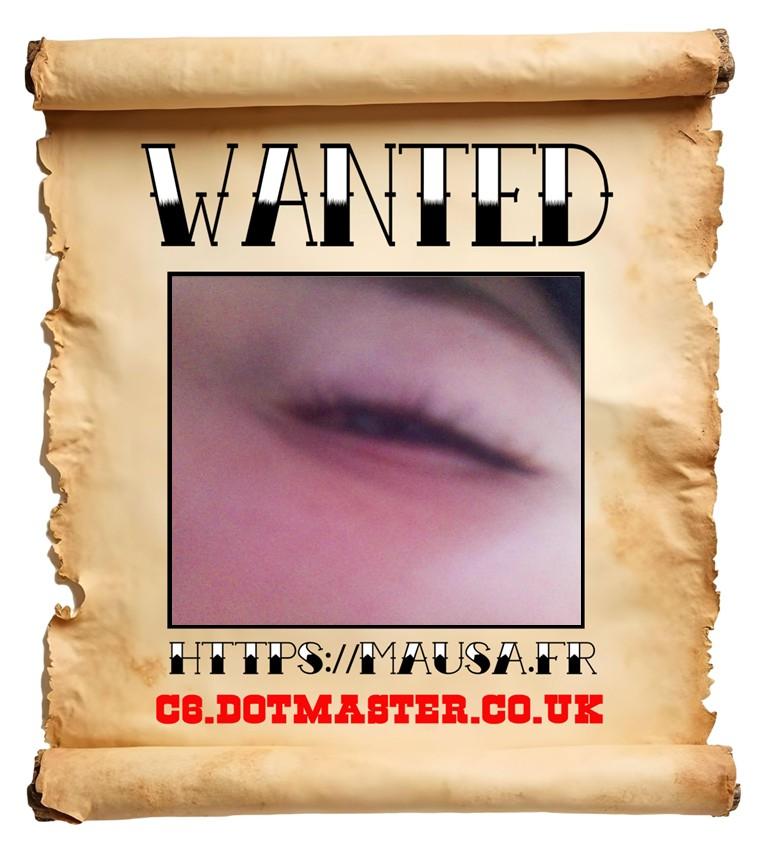 APB! Crime Reference: 68A8620290208. A Metha addict is wanted in relation to a crime
