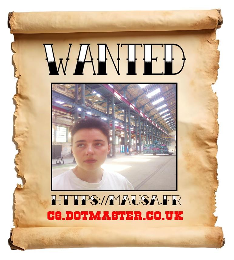 APB! Crime Reference: 68972E8FAE8B5. A Metha addict is wanted in relation to a crime