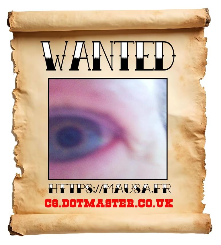 APB! Crime Reference: 68A707924E865. A Metha addict is wanted in relation to a crime