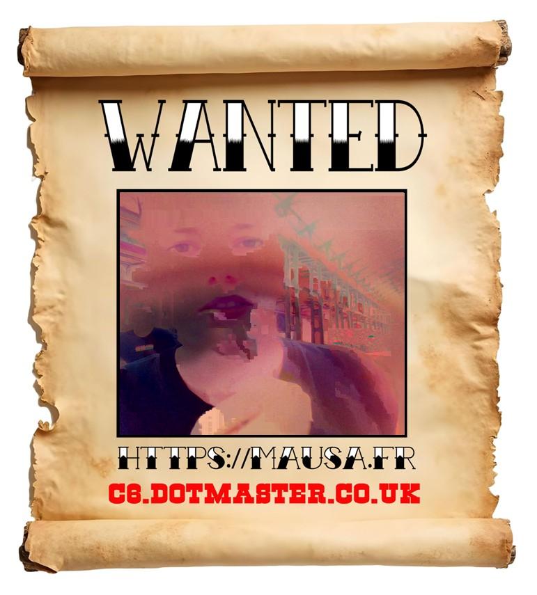 APB! Crime Reference: 689DA83F84501. A Metha addict is wanted in relation to a crime