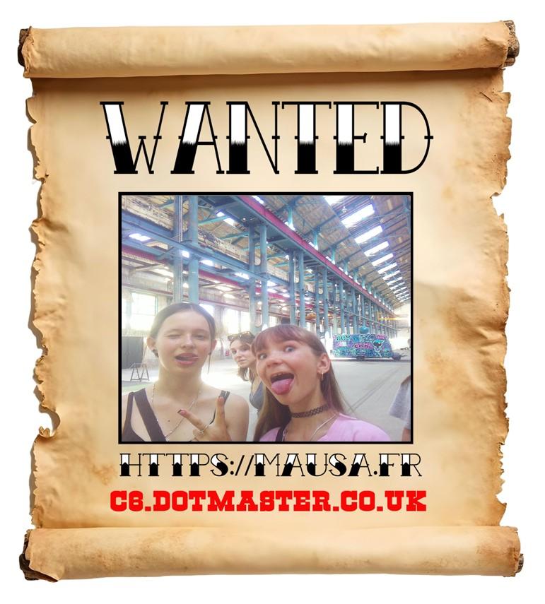 APB! Crime Reference: 689C9AB5677C0. A Metha addict is wanted in relation to a crime