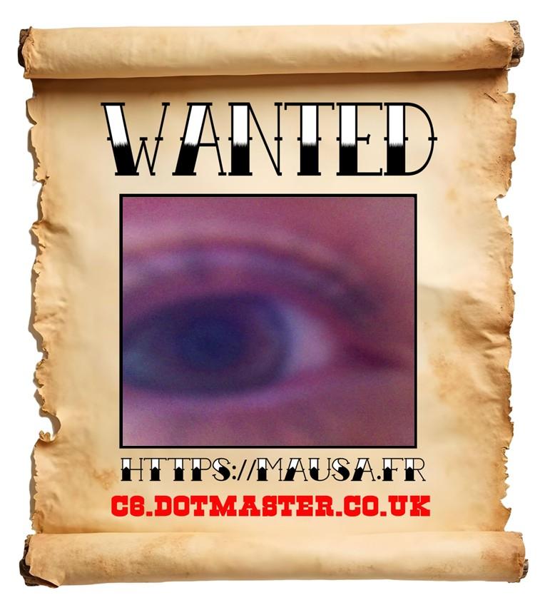 APB! Crime Reference: 68A8808E08447. A Metha addict is wanted in relation to a crime