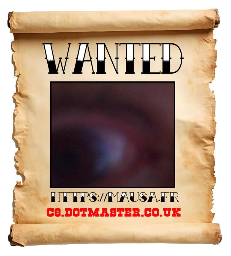 APB! Crime Reference: 68ADB2F219662. A Metha addict is wanted in relation to a crime