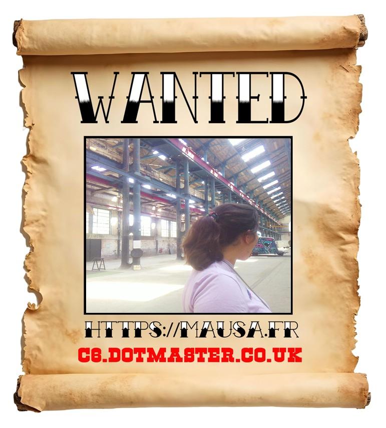 APB! Crime Reference: 68A0610EB5D17. A Metha addict is wanted in relation to a crime