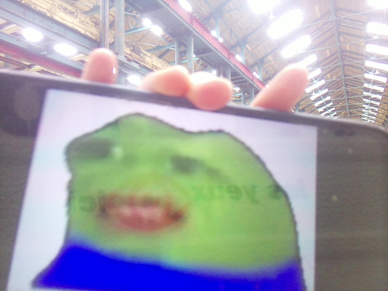 APB! Crime Reference: 6893472C94F7E. A Metha addict is wanted for lurking