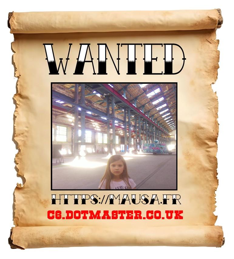 APB! Crime Reference: 6894B0145570E. A Metha addict is wanted in relation to a crime