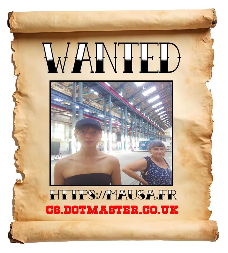 APB! Crime Reference: 68A8783C962FB. A Metha addict is wanted in relation to a crime