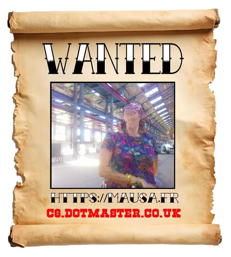 APB! Crime Reference: 689895EB15A78. A Metha addict is wanted in relation to a crime