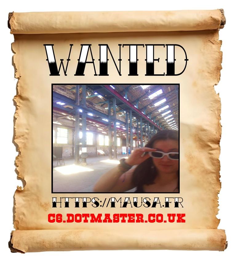 APB! Crime Reference: 6894CC8AD0D34. A Metha addict is wanted in relation to a crime