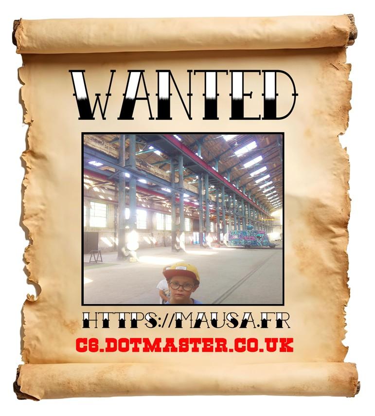 APB! Crime Reference: 68936EA9E1331. A Metha addict is wanted in relation to a crime