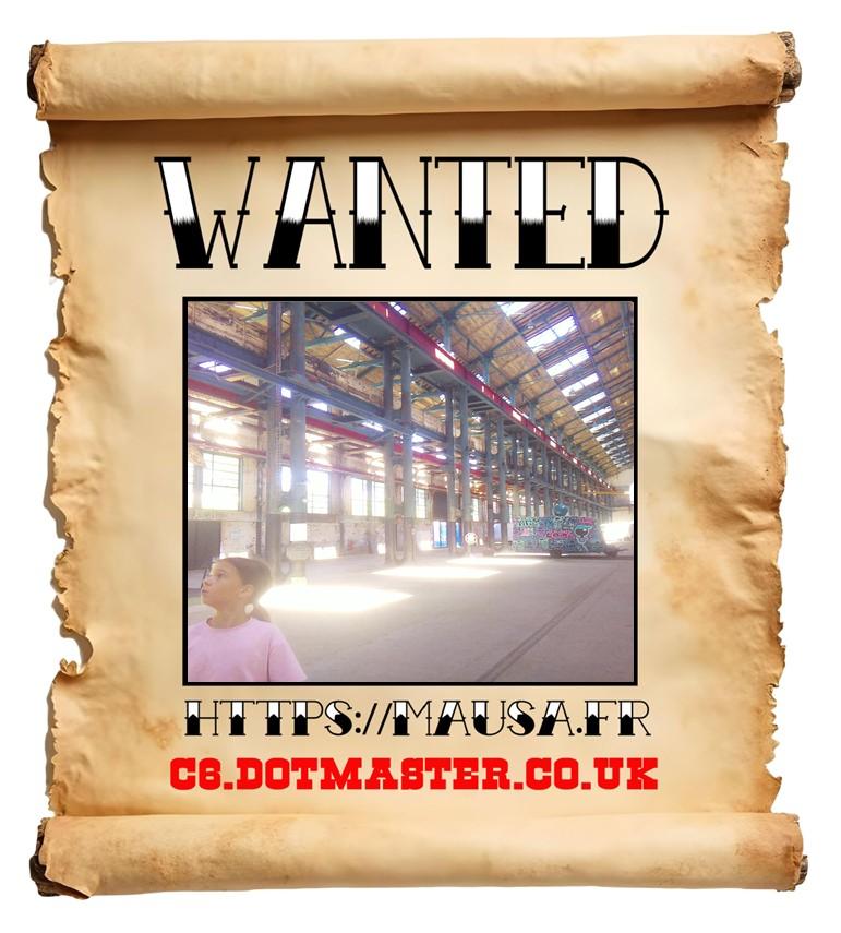 APB! Crime Reference: 68949DD8C7250. A Metha addict is wanted in relation to a crime