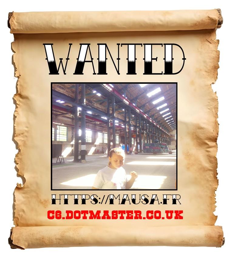 APB! Crime Reference: 689DAD761B92E. A Metha addict is wanted in relation to a crime