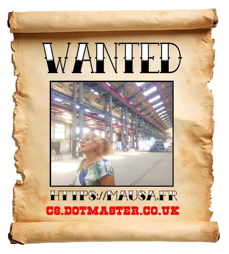 APB! Crime Reference: 689358108EF7B. A Metha addict is wanted in relation to a crime