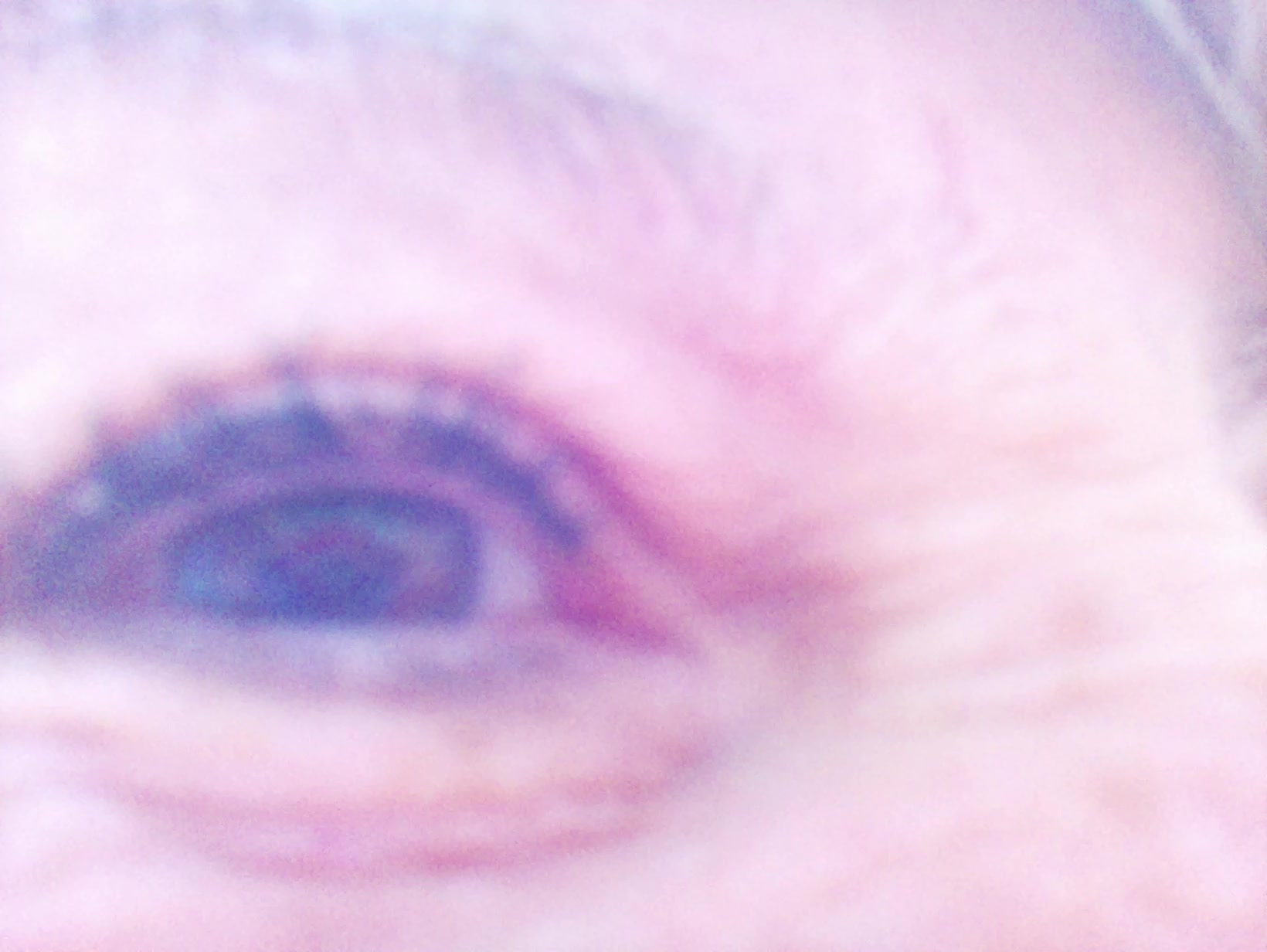 APB! Crime Reference: 68A5CC9A981D7. A Metha addict is wanted for lurking