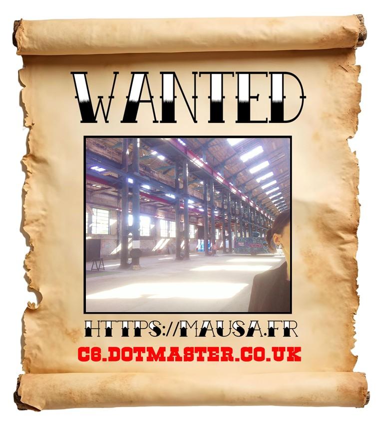 APB! Crime Reference: 68B40EF1798B5. A Metha addict is wanted in relation to a crime