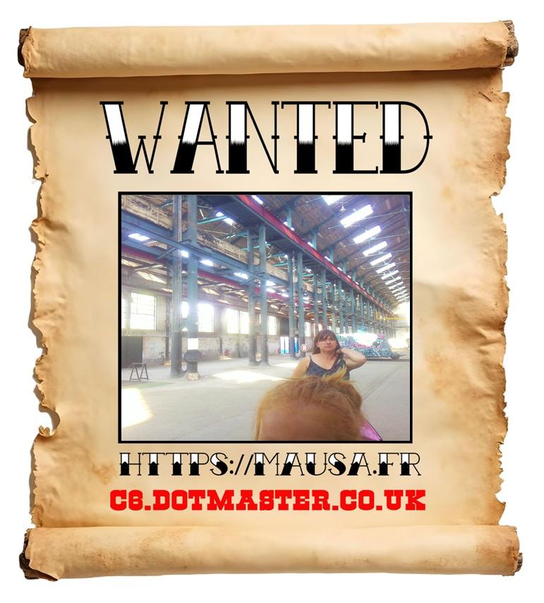 APB! Crime Reference: 689383E8DEA63. A Metha addict is wanted in relation to a crime