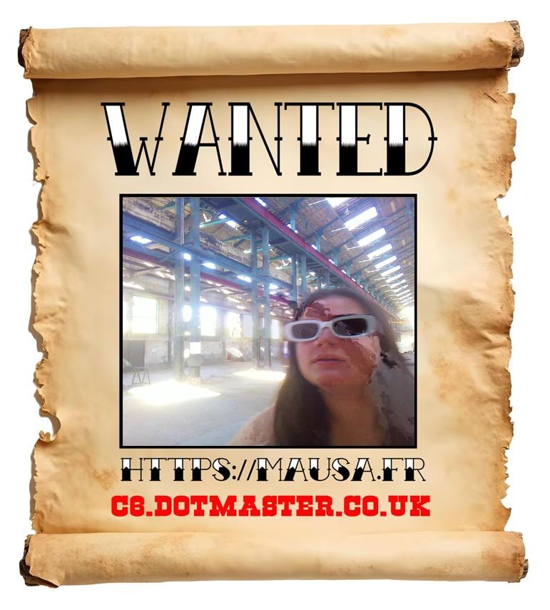 APB! Crime Reference: 6894CCA8CFE06. A Metha addict is wanted in relation to a crime