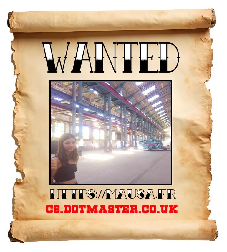 APB! Crime Reference: 6894B5C28B75F. A Metha addict is wanted in relation to a crime