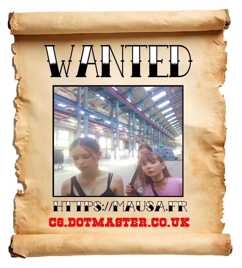 APB! Crime Reference: 689C99DF8E3E8. A Metha addict is wanted in relation to a crime