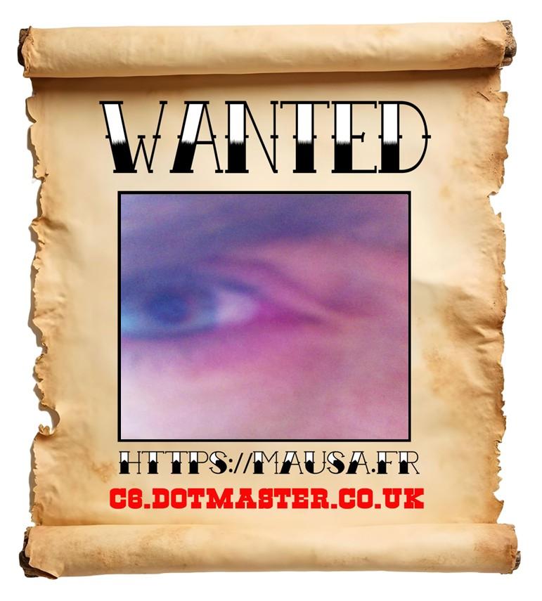APB! Crime Reference: 68B1A3912B0A8. A Metha addict is wanted in relation to a crime