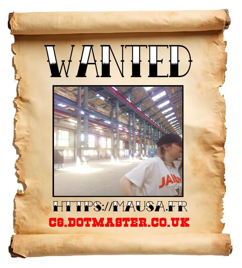 APB! Crime Reference: 689C986BBDCB5. A Metha addict is wanted in relation to a crime