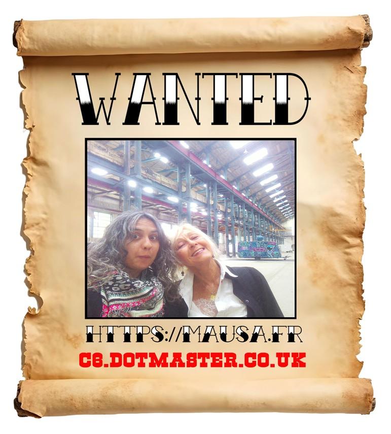 APB! Crime Reference: 68B18B5583508. A Metha addict is wanted in relation to a crime